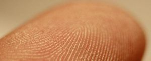 Calgary Fingerprint