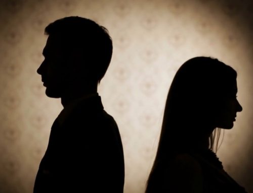 The Divorce Survival Guide